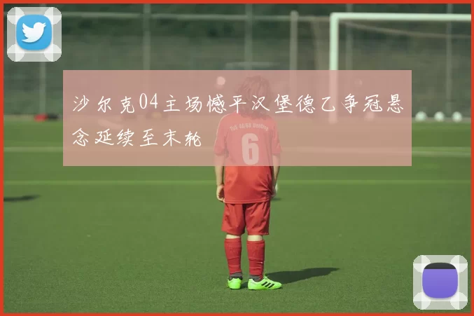 沙尔克04主场憾平汉堡德乙争冠悬念延续至末轮