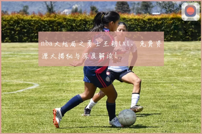 nba大结局之勇士王朝txt，免费资源大揭秘与深度解读！