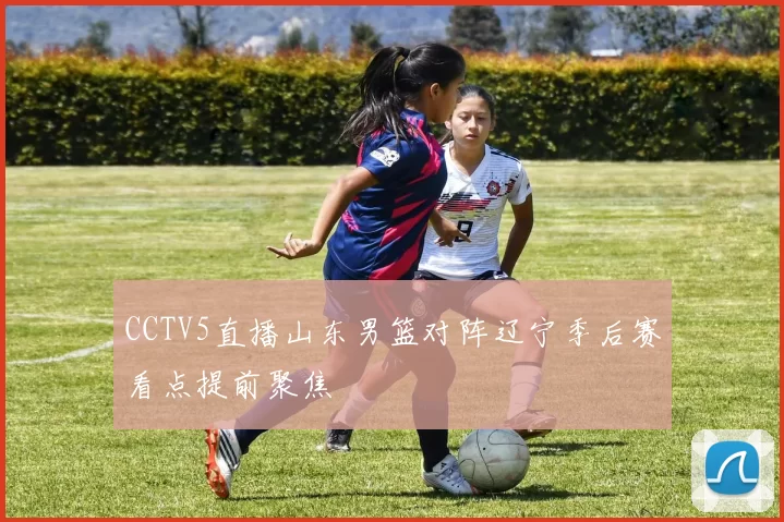 CCTV5直播山东男篮对阵辽宁季后赛看点提前聚焦